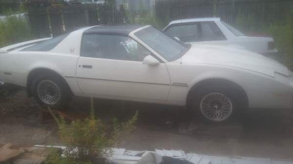 1986 White Pontiac Firebird Coupe