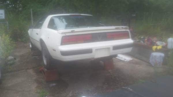 1986 White Pontiac Firebird Coupe