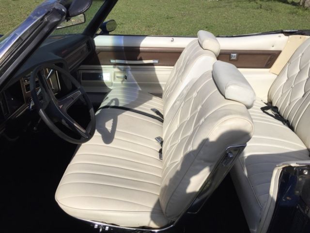 1973 Blue Pontiac Other Convertible