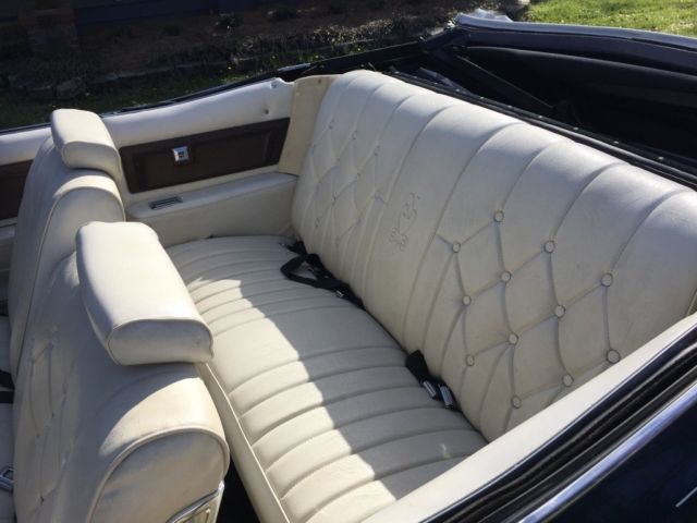 1973 Blue Pontiac Other Convertible