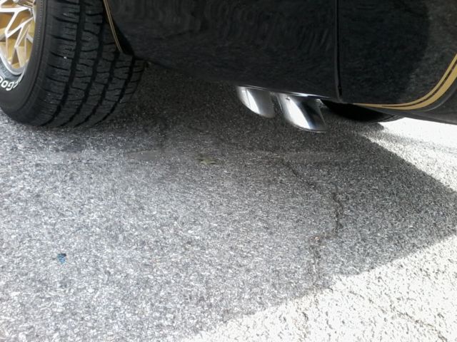 1979 Black Pontiac Firebird Coupe