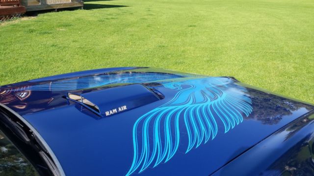 1981 Blue Pontiac Trans Am Coupe