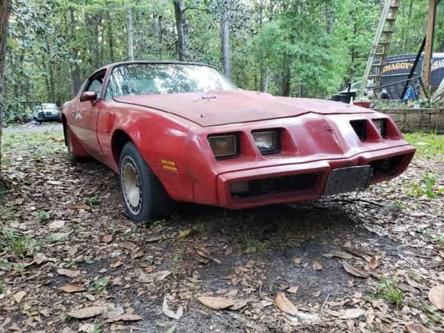 1981 Pontiac Trans Am Coupe