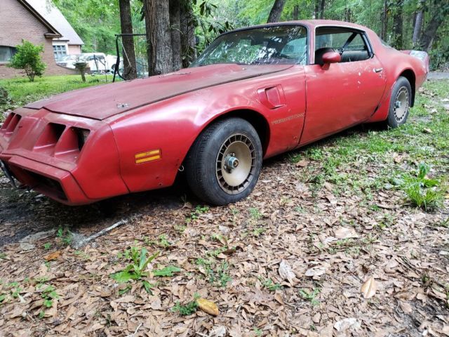 1981 Pontiac Trans Am Coupe