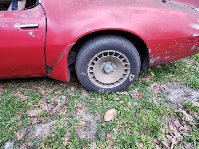 1981 Pontiac Trans Am Coupe