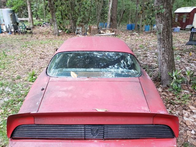 1981 Pontiac Trans Am Coupe