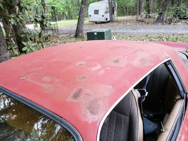 1981 Pontiac Trans Am Coupe