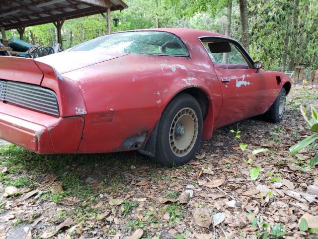 1981 Pontiac Trans Am Coupe
