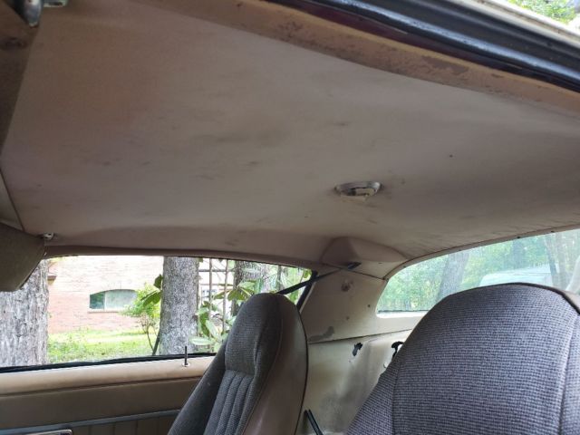 1981 Pontiac Trans Am Coupe