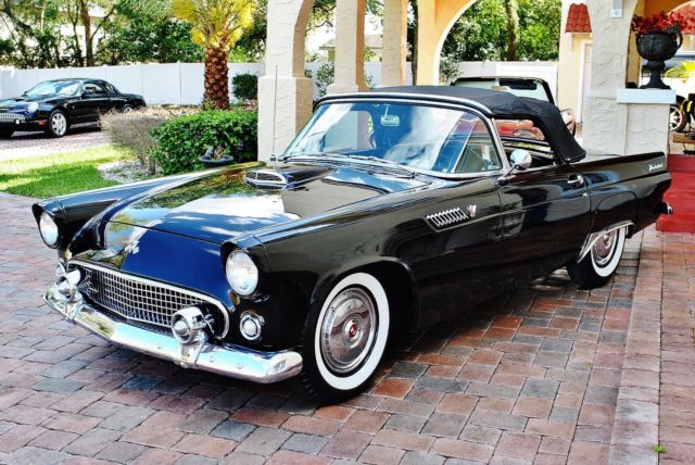 1955 Ford Thunderbird