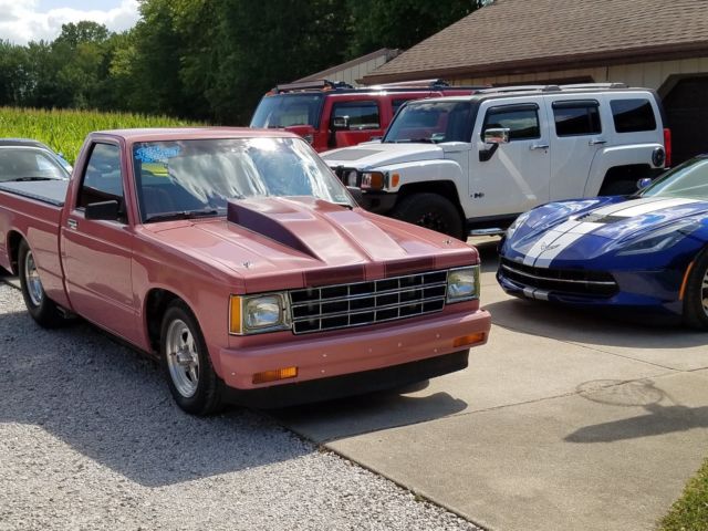 1986 TEA ROSE Chevrolet S-10 Standard Cab Pickup