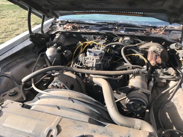 1979 Chevrolet Camaro