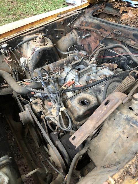 1973 Gold Ford Mustang Fastback