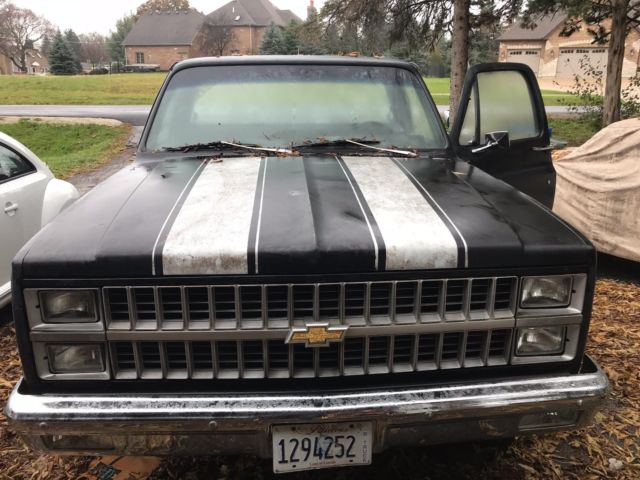 1982 Black Chevrolet C-10 Standard Cab Pickup