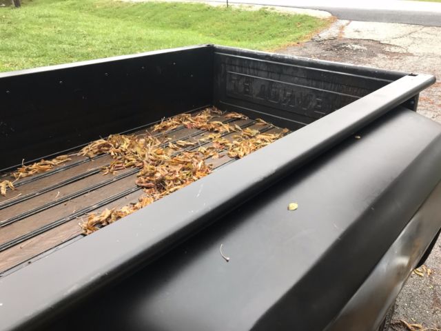 1982 Black Chevrolet C-10 Standard Cab Pickup