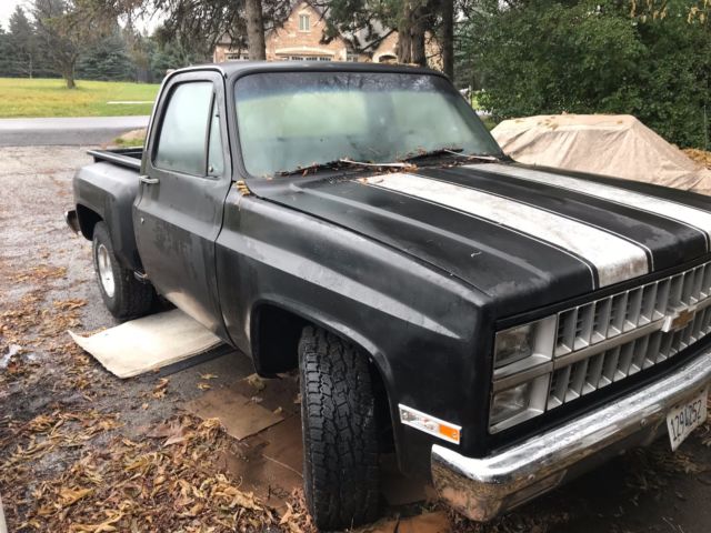 1982 Black Chevrolet C-10 Standard Cab Pickup