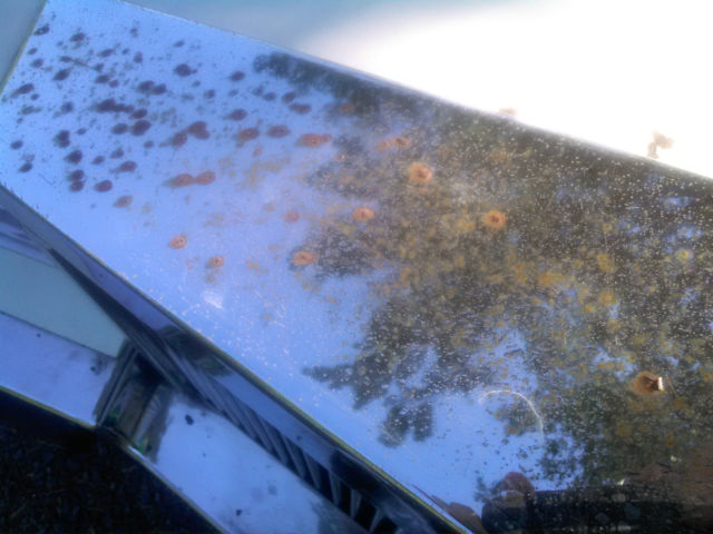 1985 Cadillac Eldorado