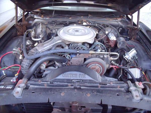 1979 Black Ford Ranchero