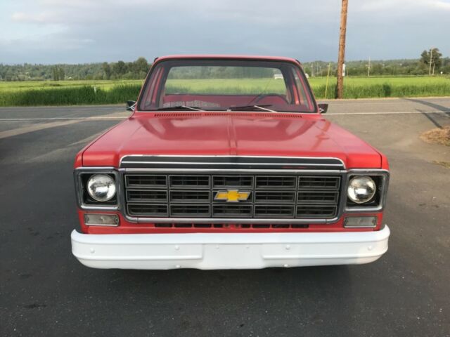 1976 Chevrolet C-10