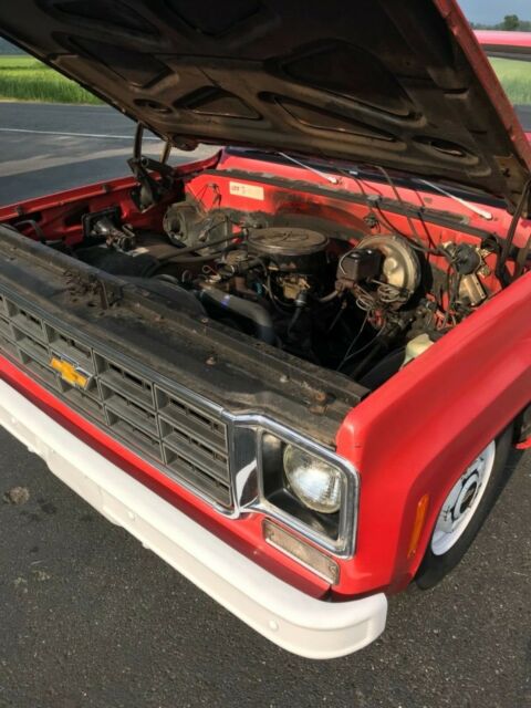 1976 Chevrolet C-10