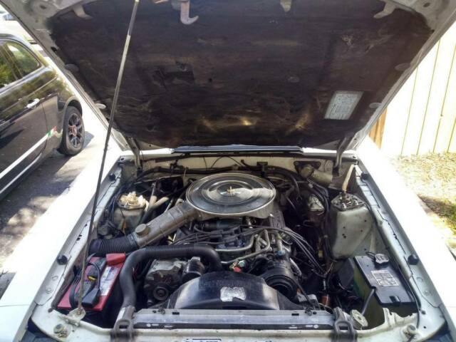 1982 Ford Mustang Convertible