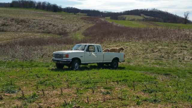 1987 White Ford F-250 Extended Cab Pickup
