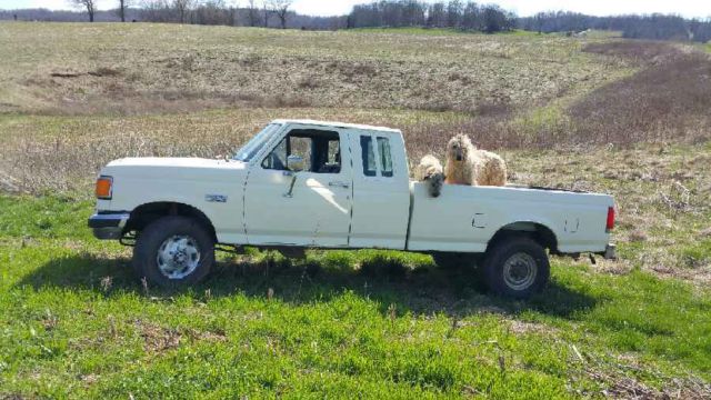 1987 White Ford F-250 Extended Cab Pickup