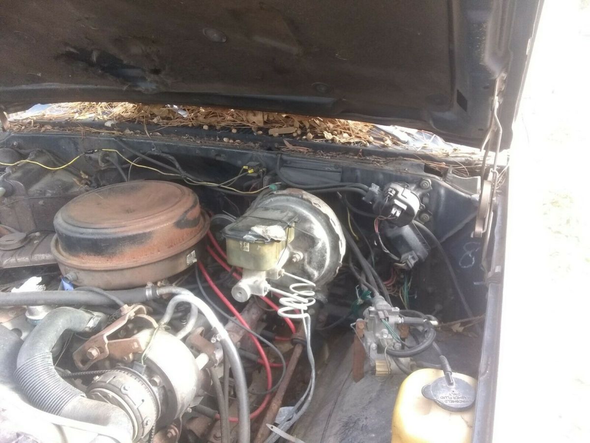 1982 Chevrolet Blazer