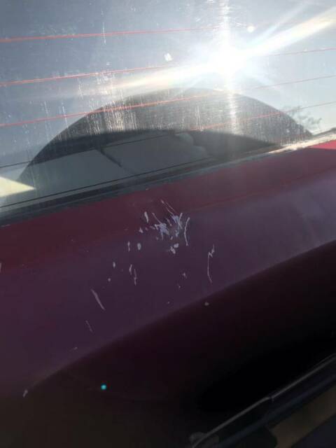 1993 Burgundy Ford Bronco SUV