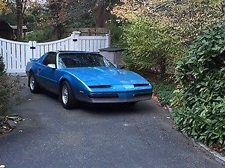 1990 Blue Pontiac Firebird Coupe w/ T Tops