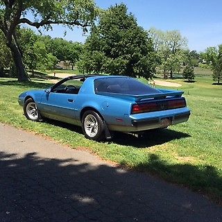 1990 Blue Pontiac Firebird Coupe w/ T Tops