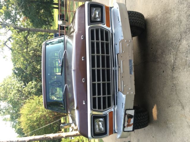 1979 Brown Ford F-250 Cab & Chassis