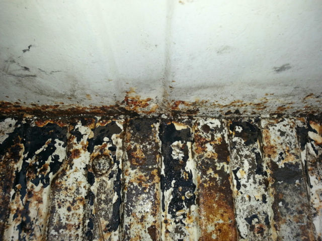 1962 White Ford F-100