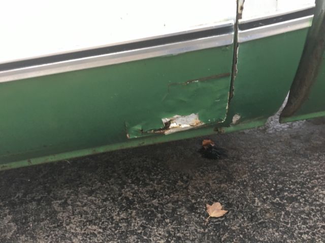 1974 Green/White Chevrolet Other Pickups