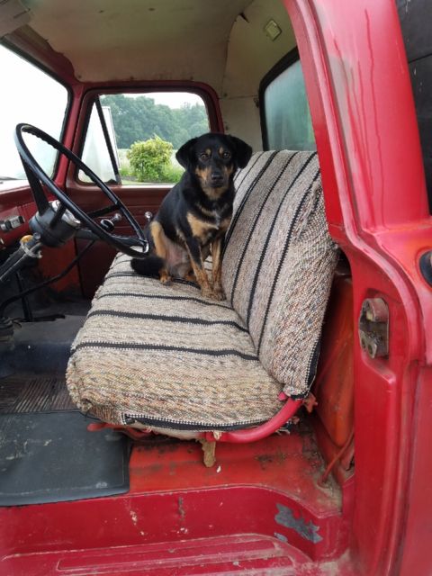 1965 Red Ford F-350 Cab & Chassis