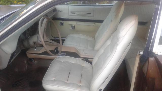 1973 Brown Dodge Charger