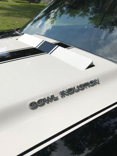 1970 Black with white stripes Chevrolet Chevelle