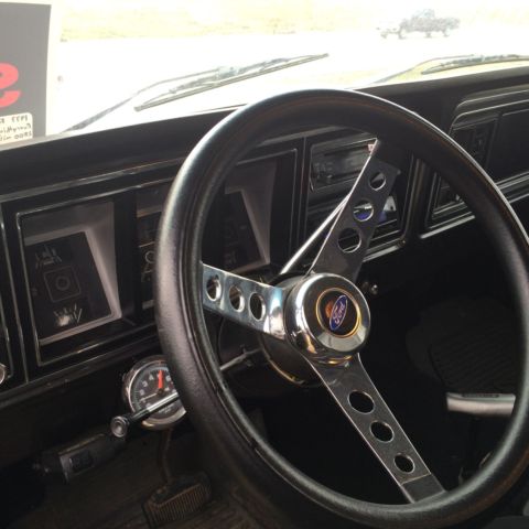 1977 Gray Ford F-250 Standard Cab Pickup