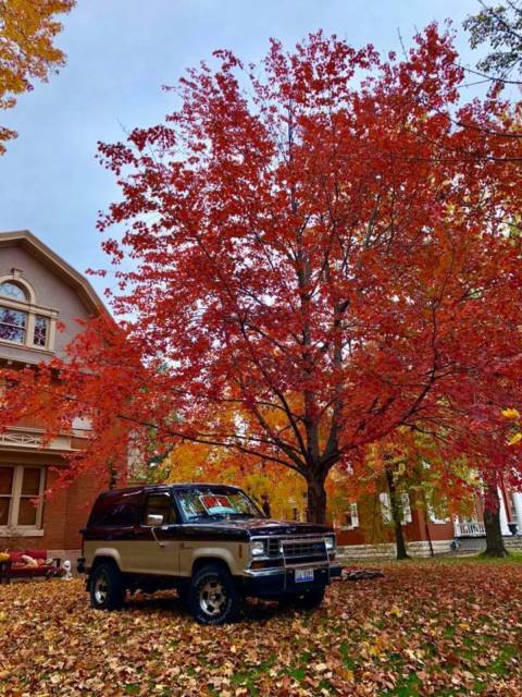 1988 Black Ford Bronco SUV