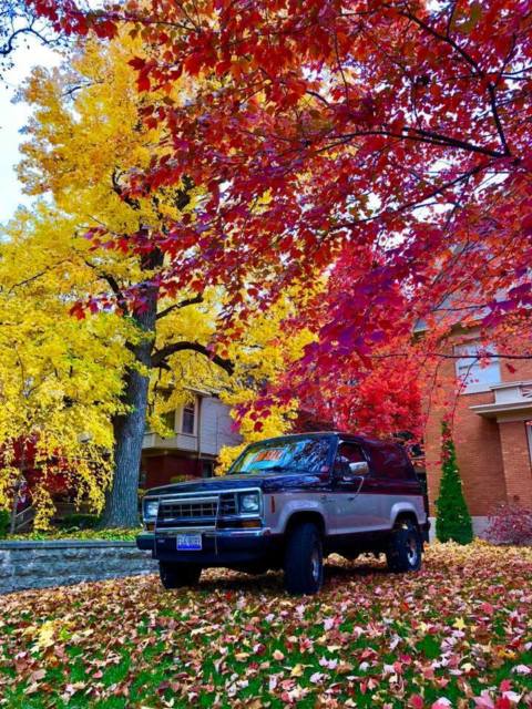 1988 Black Ford Bronco SUV