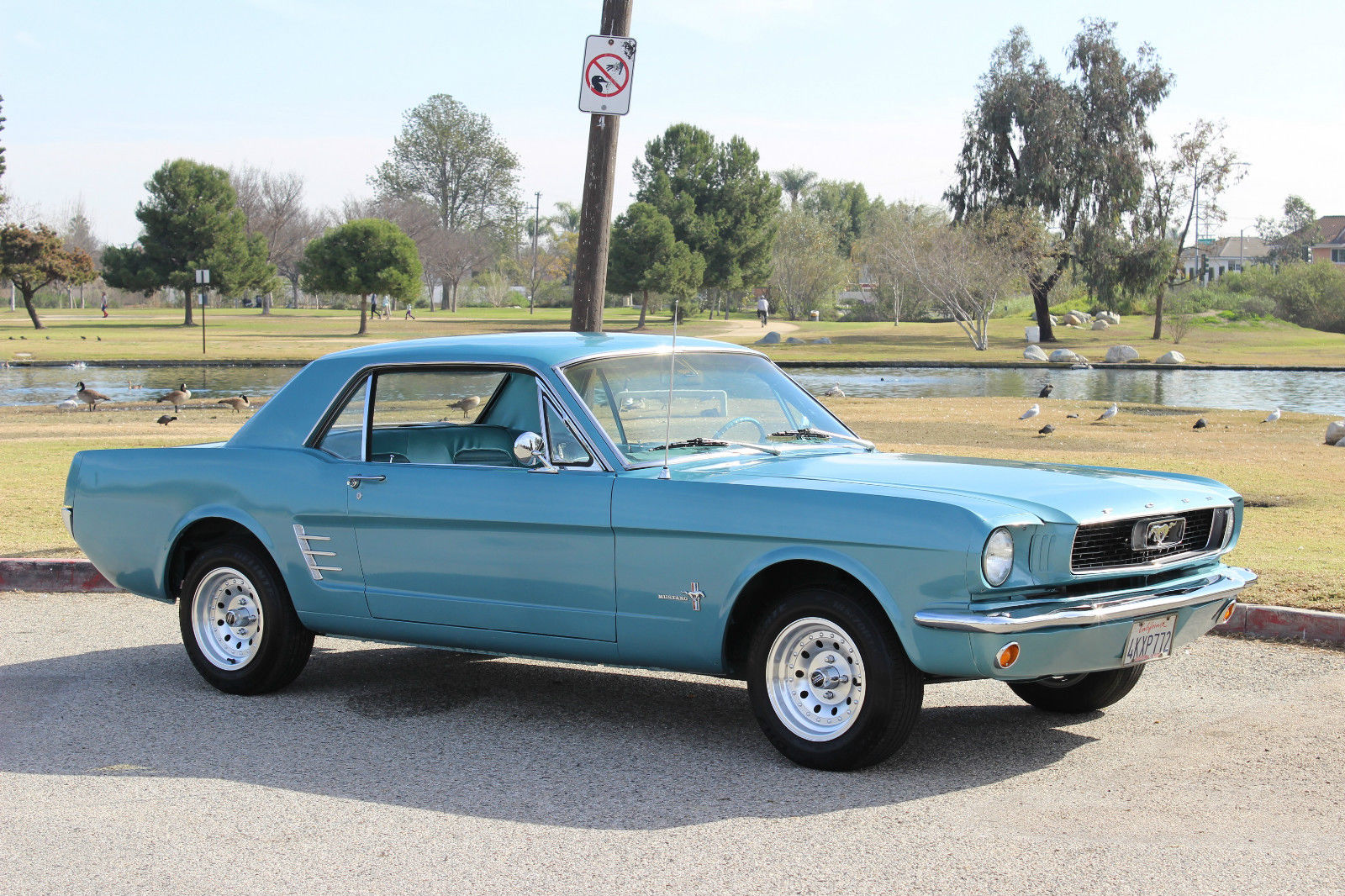 1966 Ford Mustang Couple