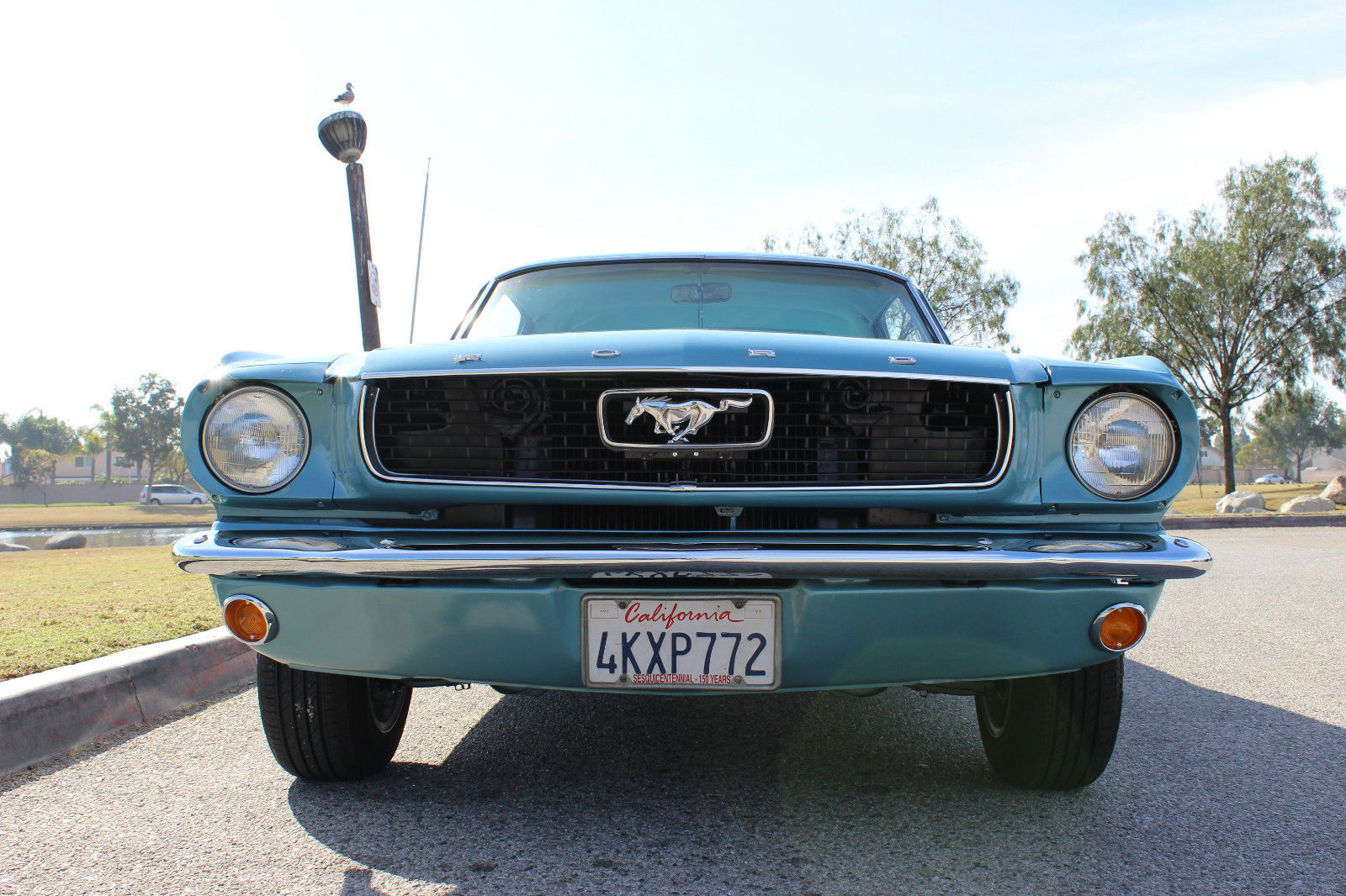 1966 Ford Mustang Couple