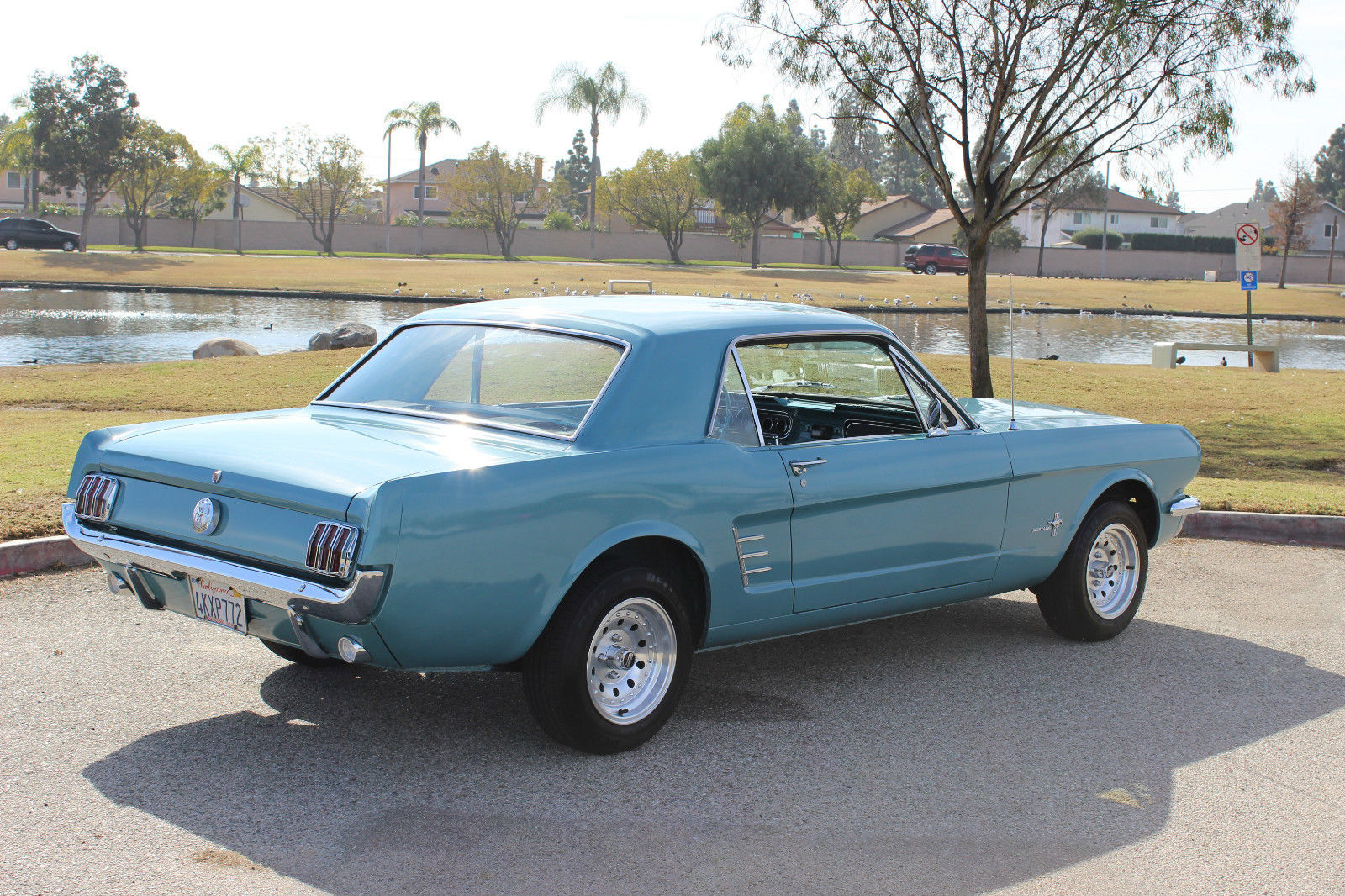 1966 Ford Mustang Couple