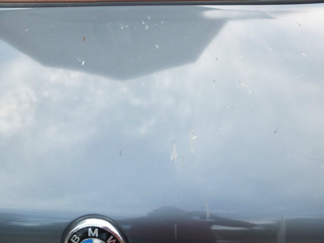 1983 Baltic Blue Metallic BMW 3-Series Coupe