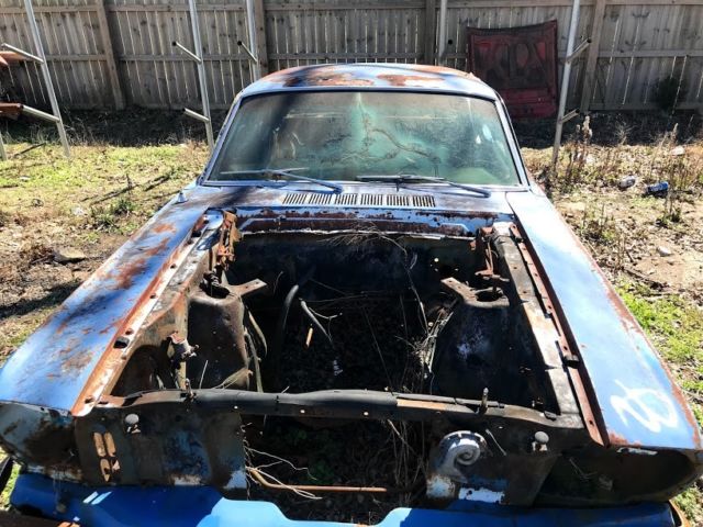 1965 Tan Ford Mustang Coupe
