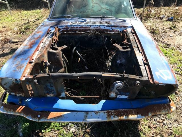 1965 Tan Ford Mustang Coupe