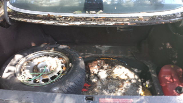 1983 Gold Mercedes-Benz 300-Series