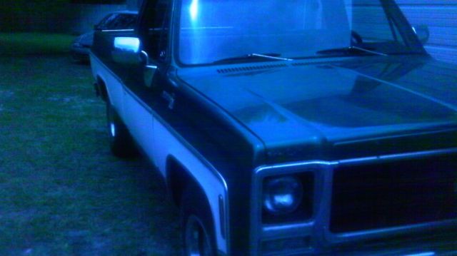 1979 Green Chevrolet C-10 Standard Cab Pickup