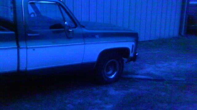 1979 Green Chevrolet C-10 Standard Cab Pickup