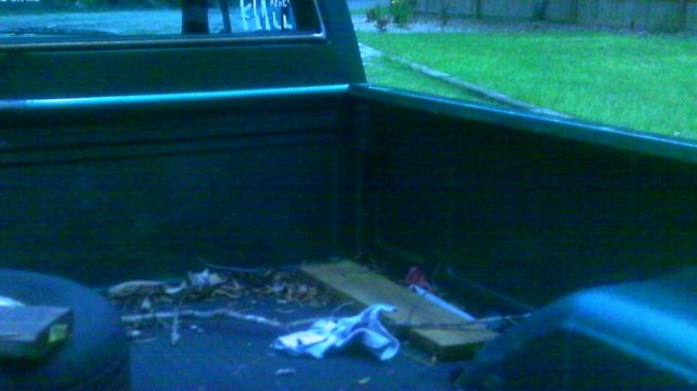 1979 Green Chevrolet C-10 Standard Cab Pickup